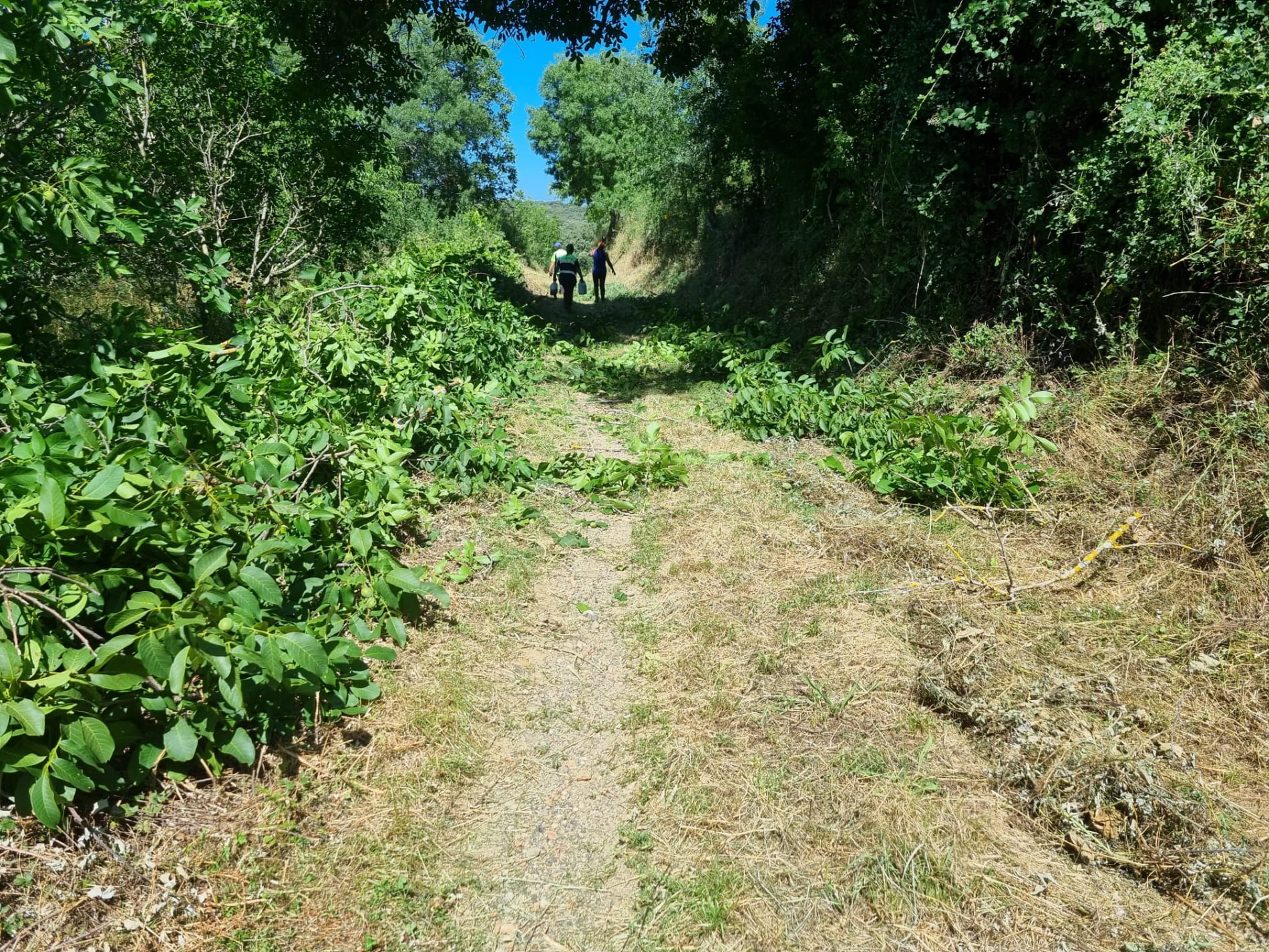 União de Freguesias de Castrelos e Carrazedo