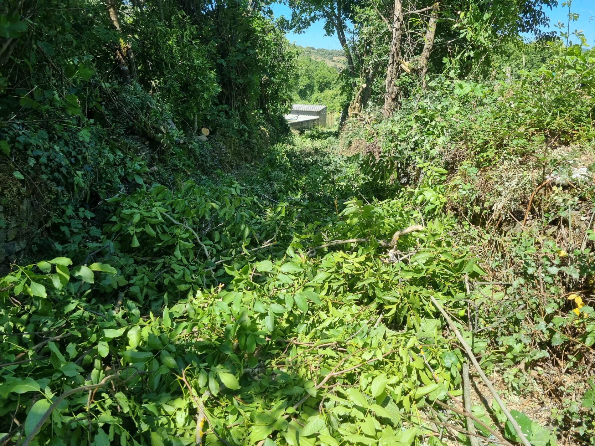 União de Freguesias de Castrelos e Carrazedo