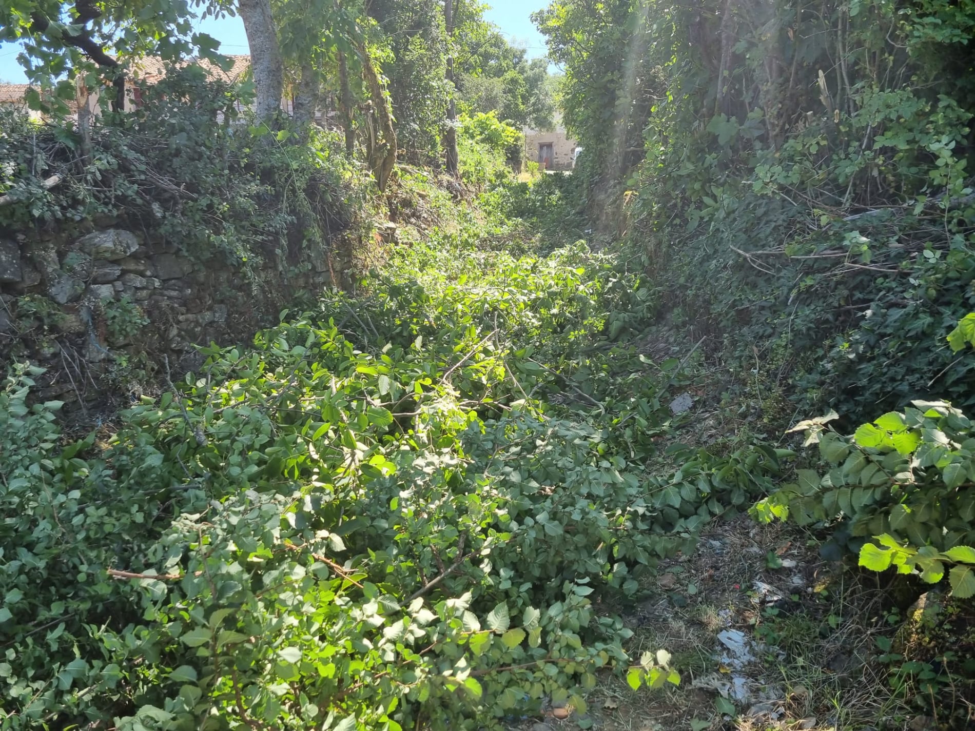 União de Freguesias de Castrelos e Carrazedo