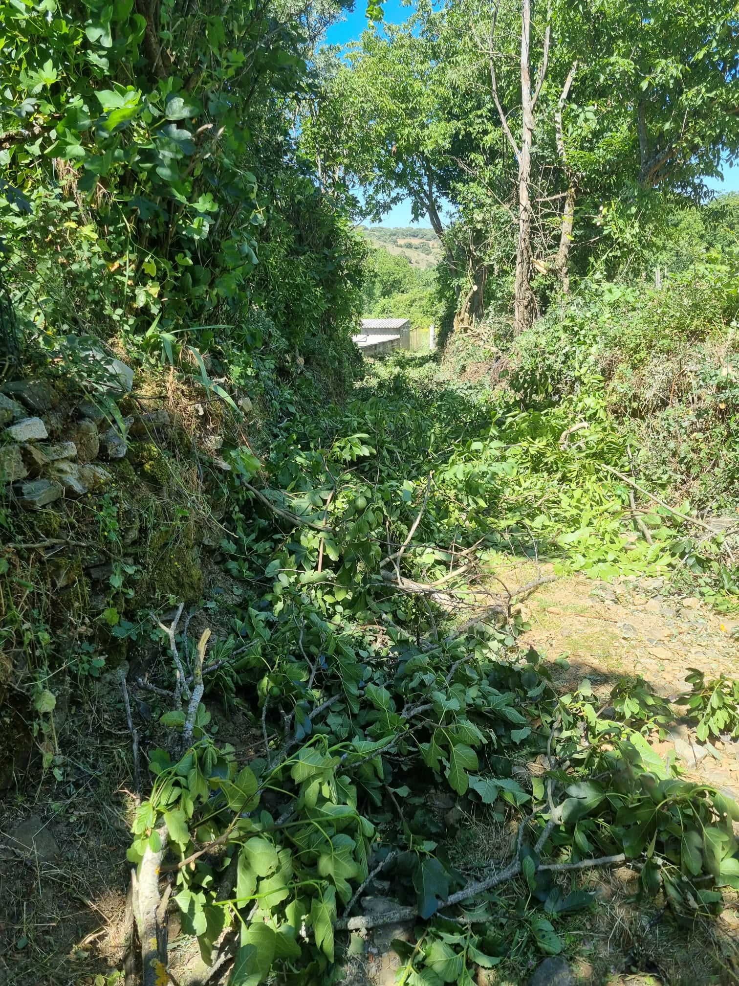 União de Freguesias de Castrelos e Carrazedo