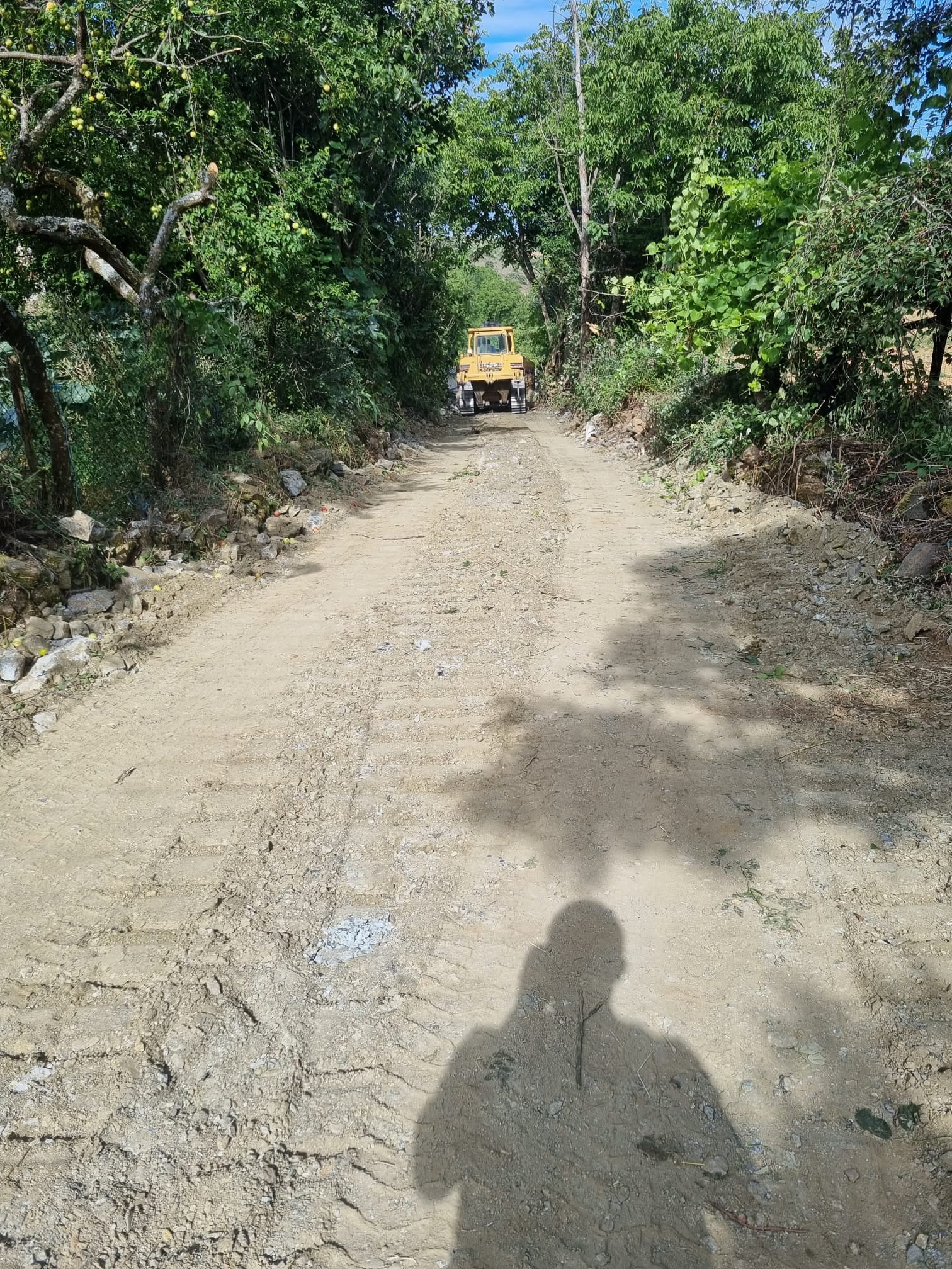 União de Freguesias de Castrelos e Carrazedo