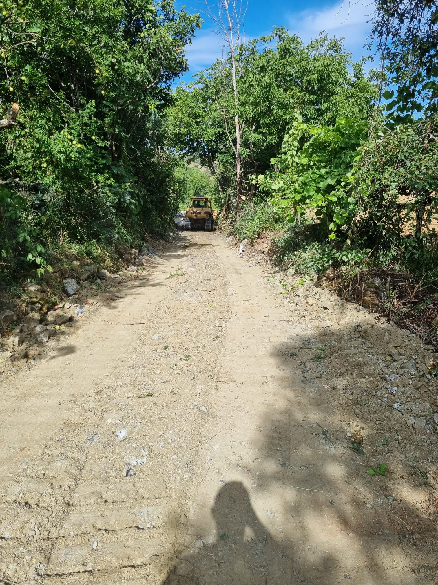 União de Freguesias de Castrelos e Carrazedo