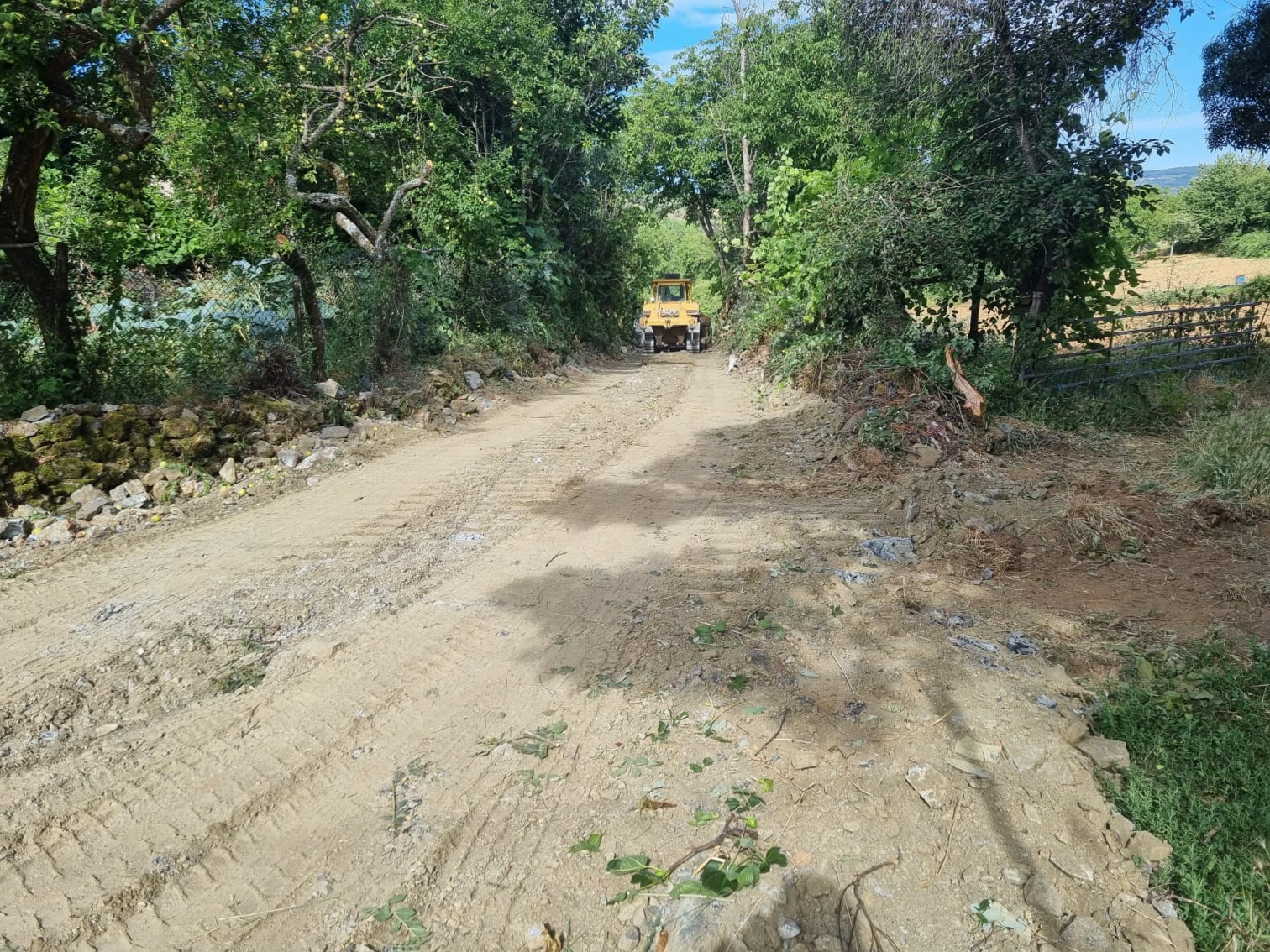 União de Freguesias de Castrelos e Carrazedo