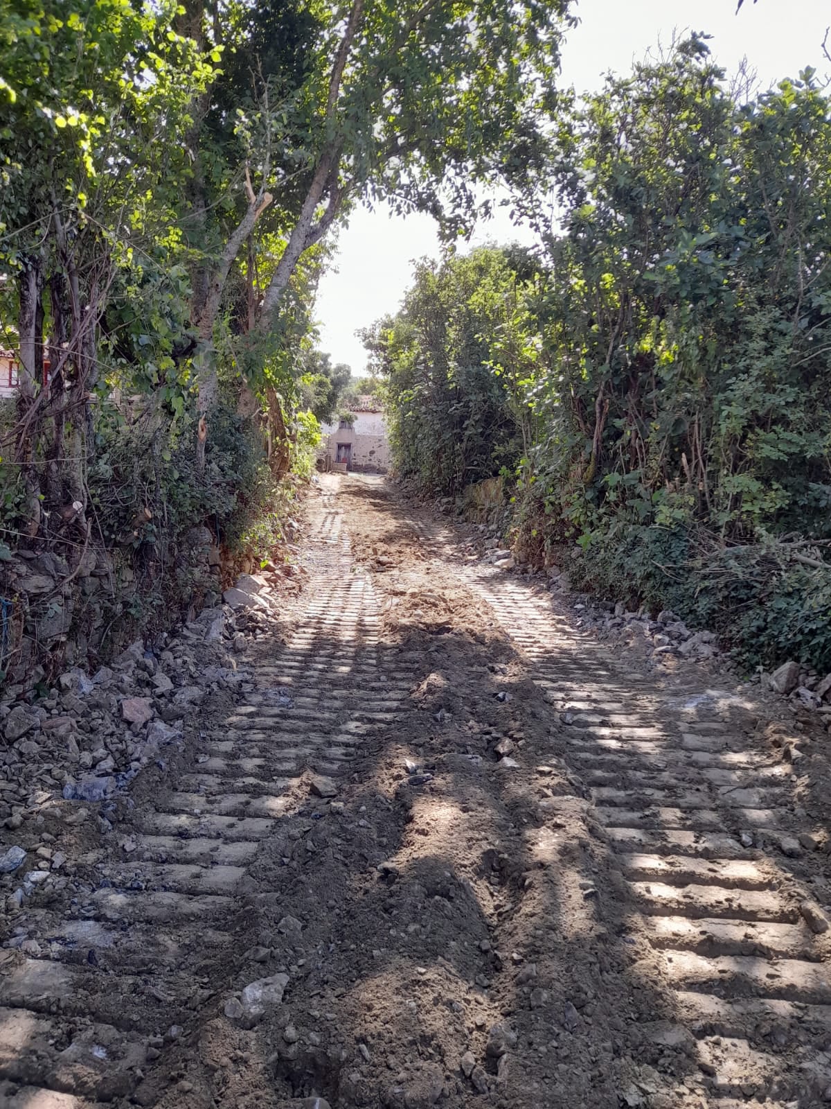 União de Freguesias de Castrelos e Carrazedo