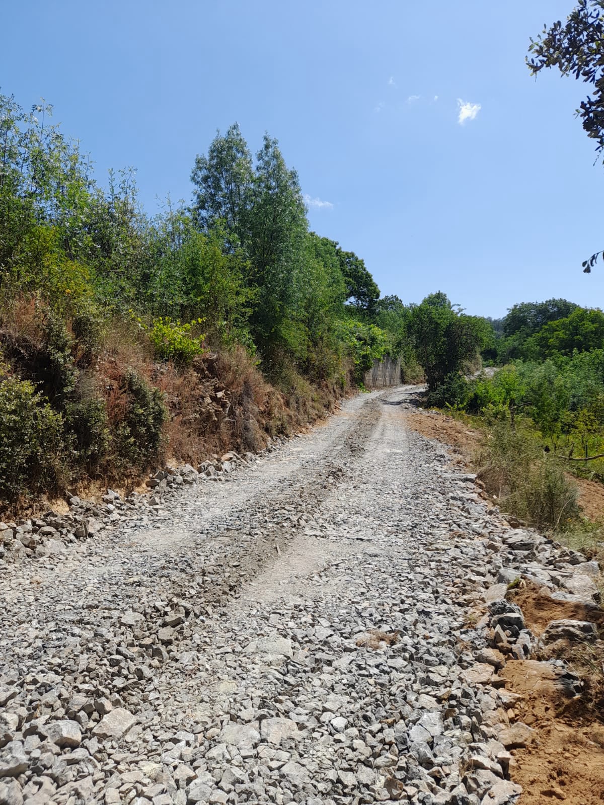 União de Freguesias de Castrelos e Carrazedo