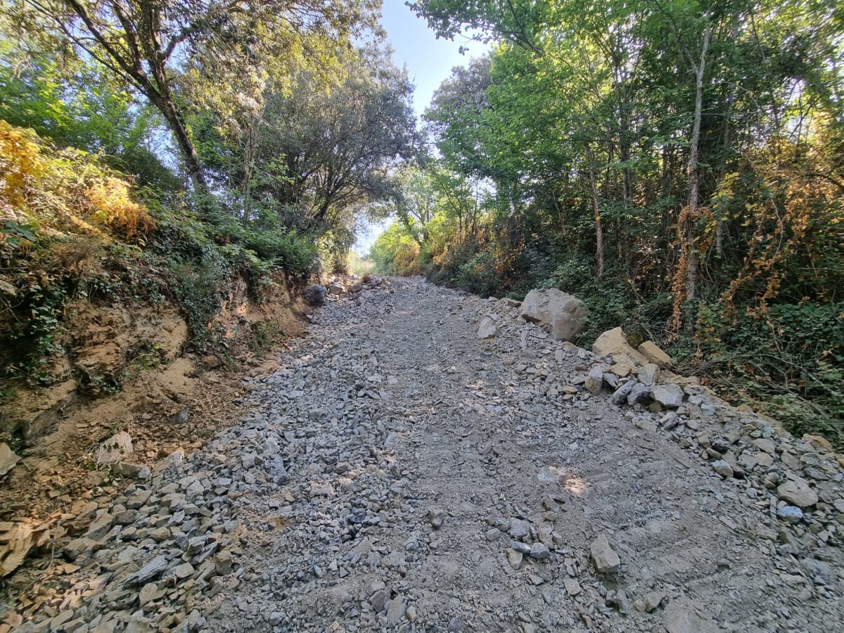União de Freguesias de Castrelos e Carrazedo