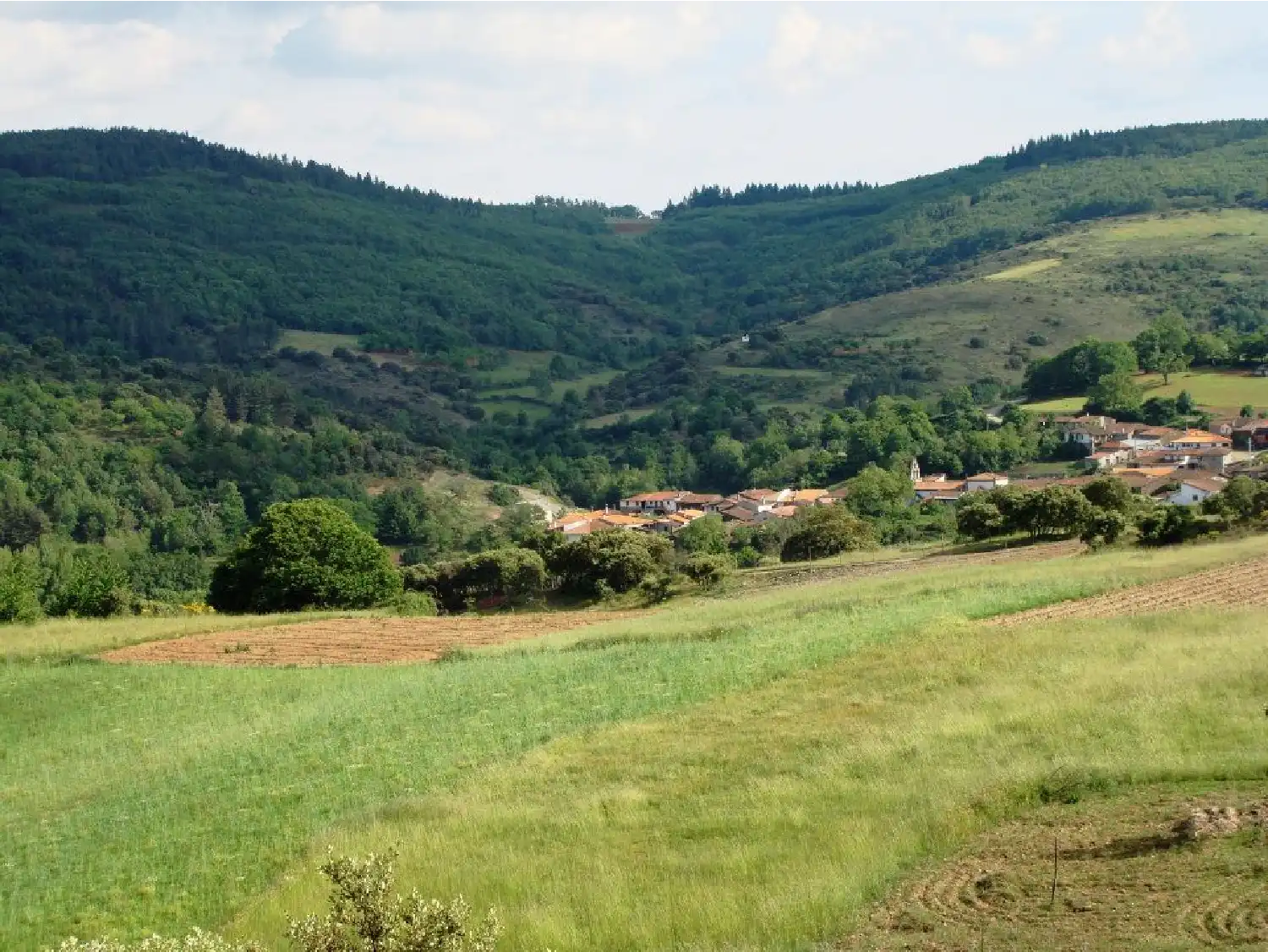 Junta de Freguesia de Viana do Alentejo
