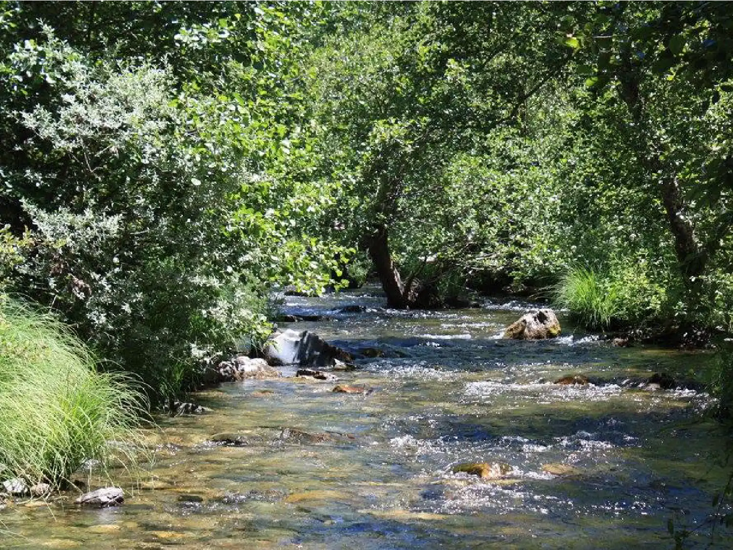 Junta de Freguesia de Viana do Alentejo